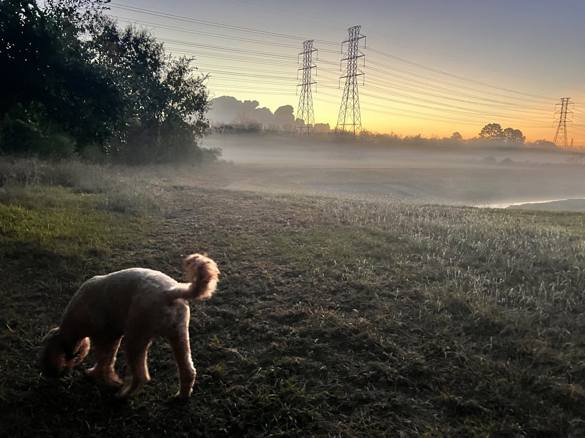 ICS_SCADA's tweet image. Good morning - Hello World