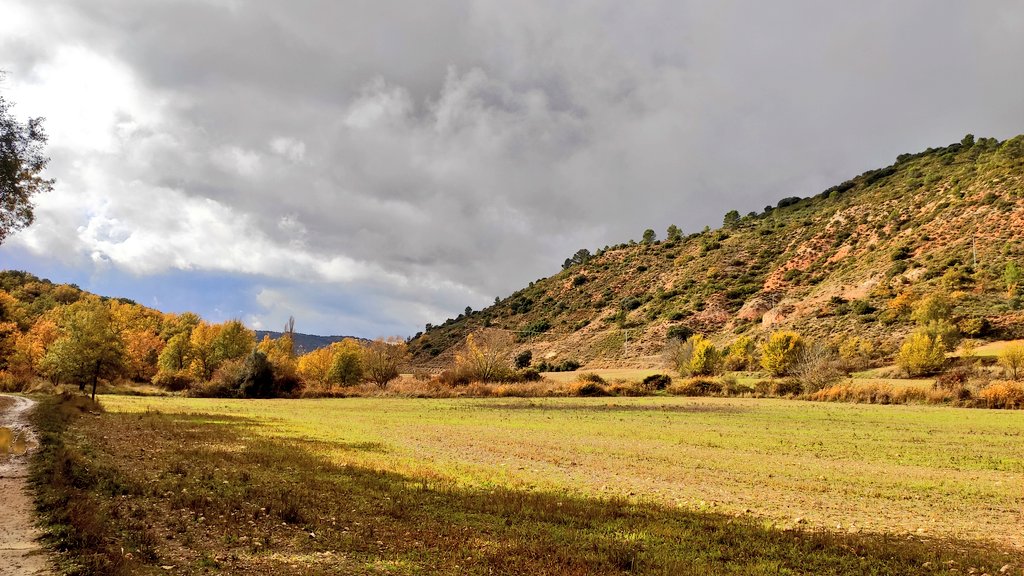 De paseo matutino con el gran <a href="/caminosgu/">caminosgu</a> por los senderos de Tendilla y la Virgen de la Salceda. 
#otoñoEnGuadalajara

Una ruta de unos 10 kilómetros que tenéis en la web de <a href="/caminosgu/">caminosgu</a> y que la recomiendo para andar y para correr trail.
