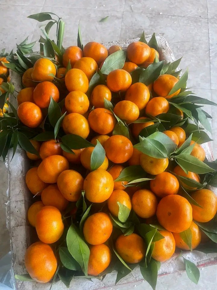 সময় দাঁড়ায় না, আমরাও থেমে থাকি না" কিন্তু মাঝে মাঝে একটু পিছনে তাঁকিয়ে দেখা দরকার, কতটা পথ চলে এলাম, কতটা শিখলাম, কতটা বদলালাম..!