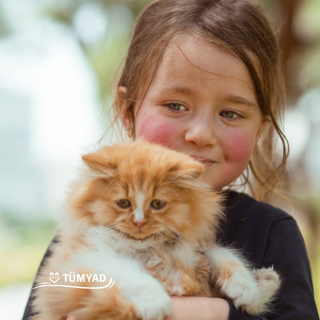 İyilik tek tür için değil, yaşamın bütünü içindir.

tumyad.org