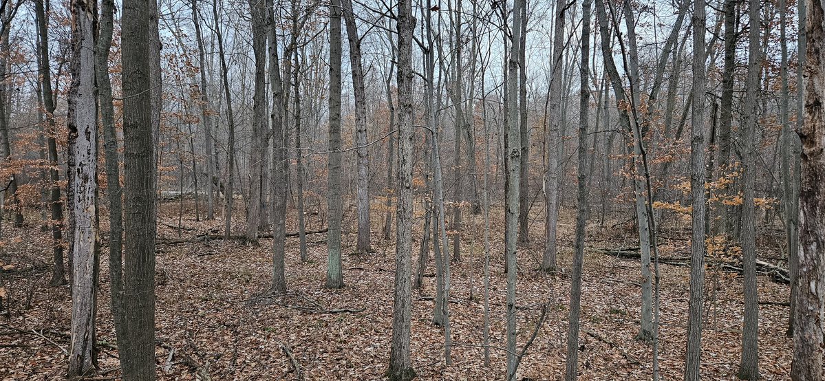 _ScottsStuff's tweet image. #Morningview