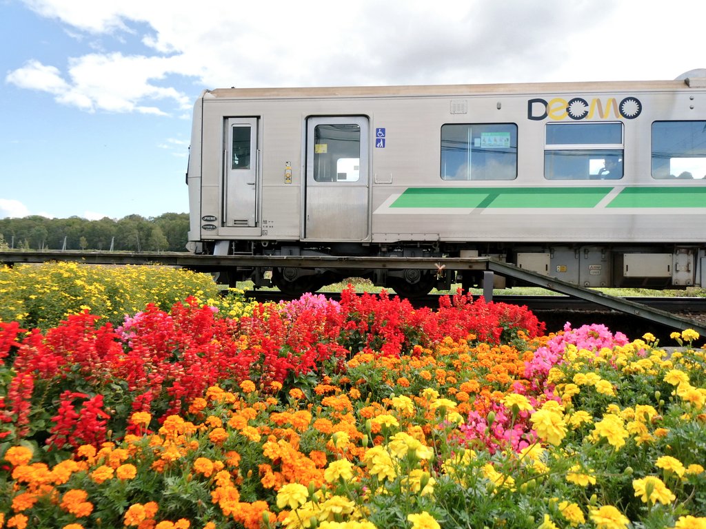 マリマリページ マリマリ (@marimari617) / Posts / X