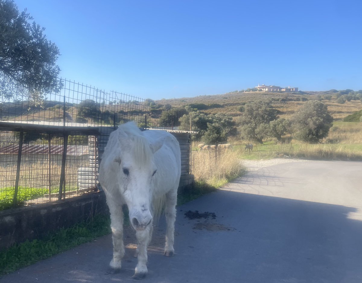 物の怪 (yōkai) (@kperifanos) on Twitter photo 