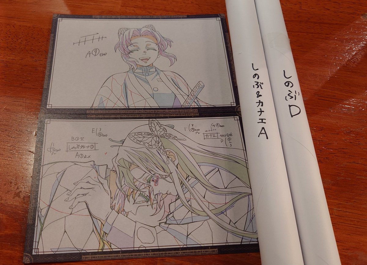 ハナちゃん♀︎ tweet media
