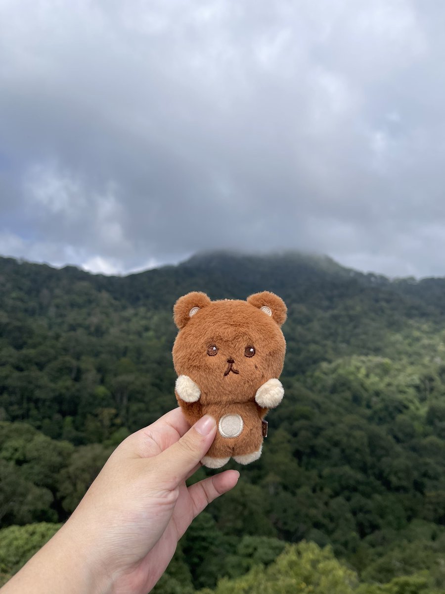 TASTE-Haechan 🌻 tweet media