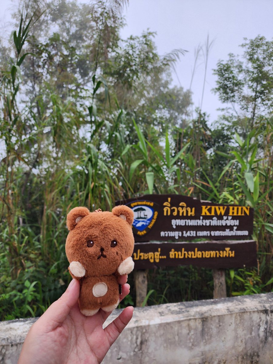 TASTE-Haechan 🌻 tweet media