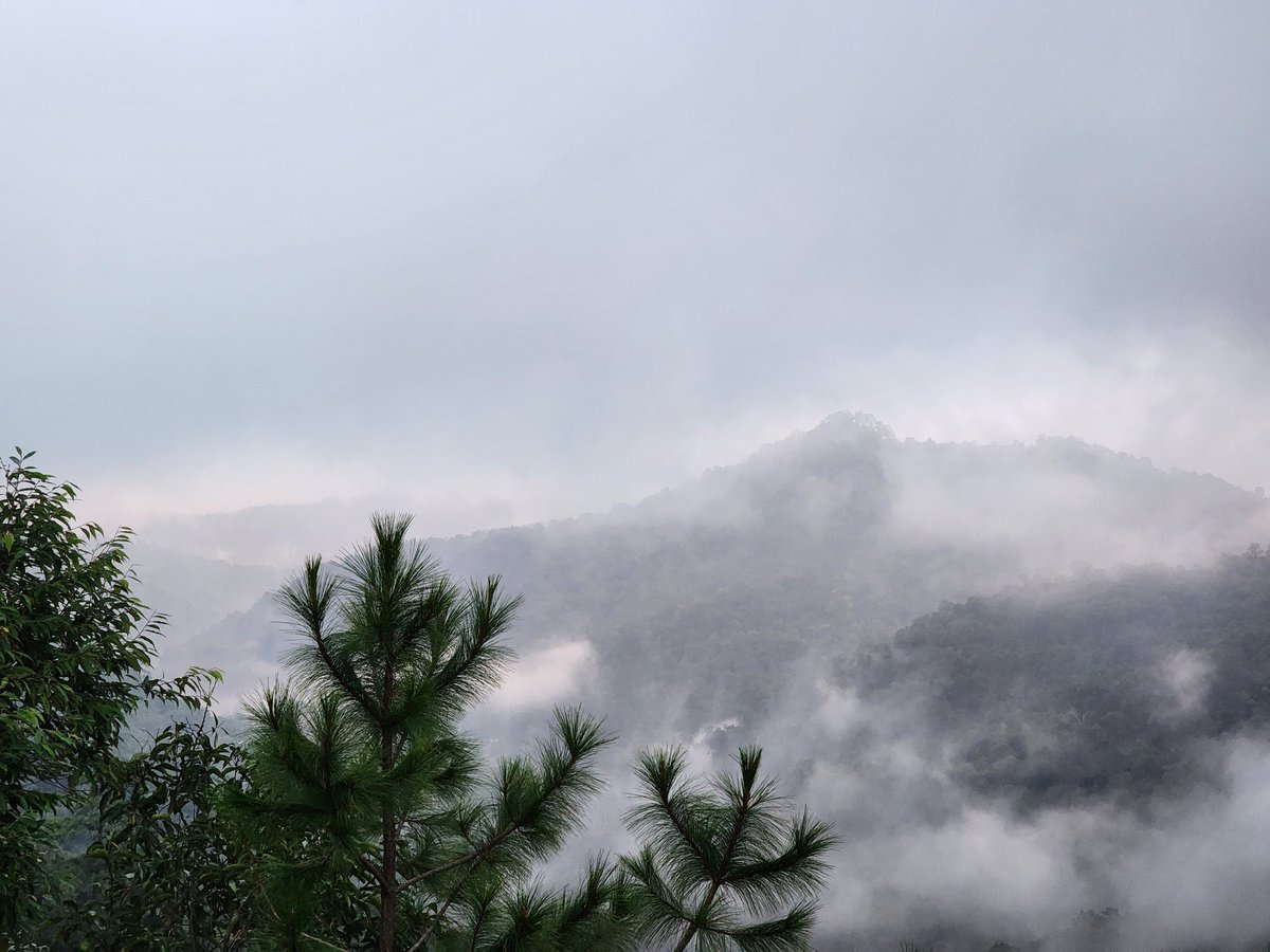 TASTE-Haechan 🌻 tweet media