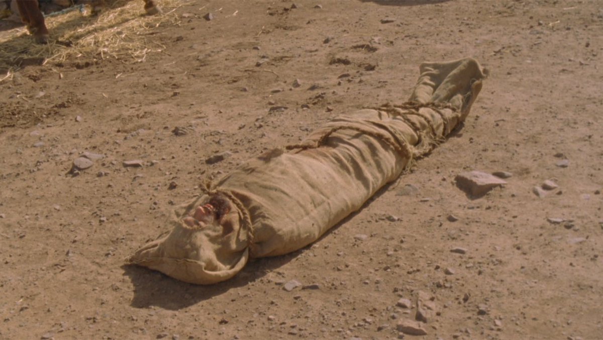 吐血(Hachi)🩸ホラー映画好き心理学者 tweet media