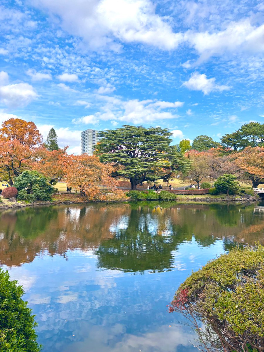 cstkhs's tweet image. 天気が良かったので新宿御苑でピクニック🧺
ようやく紅葉を見ることができた😊🍁✨
週末満喫できたしまた仕事頑張ろう✊