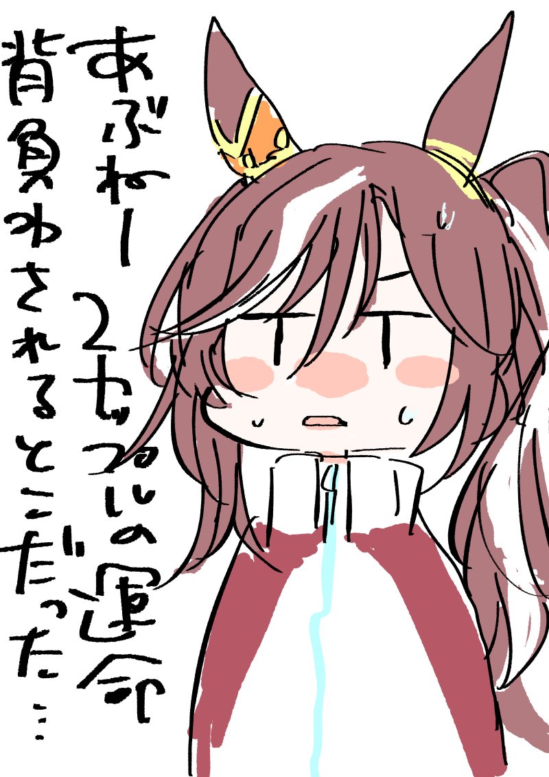 こりん (@korinkorin1204) / Posts / X