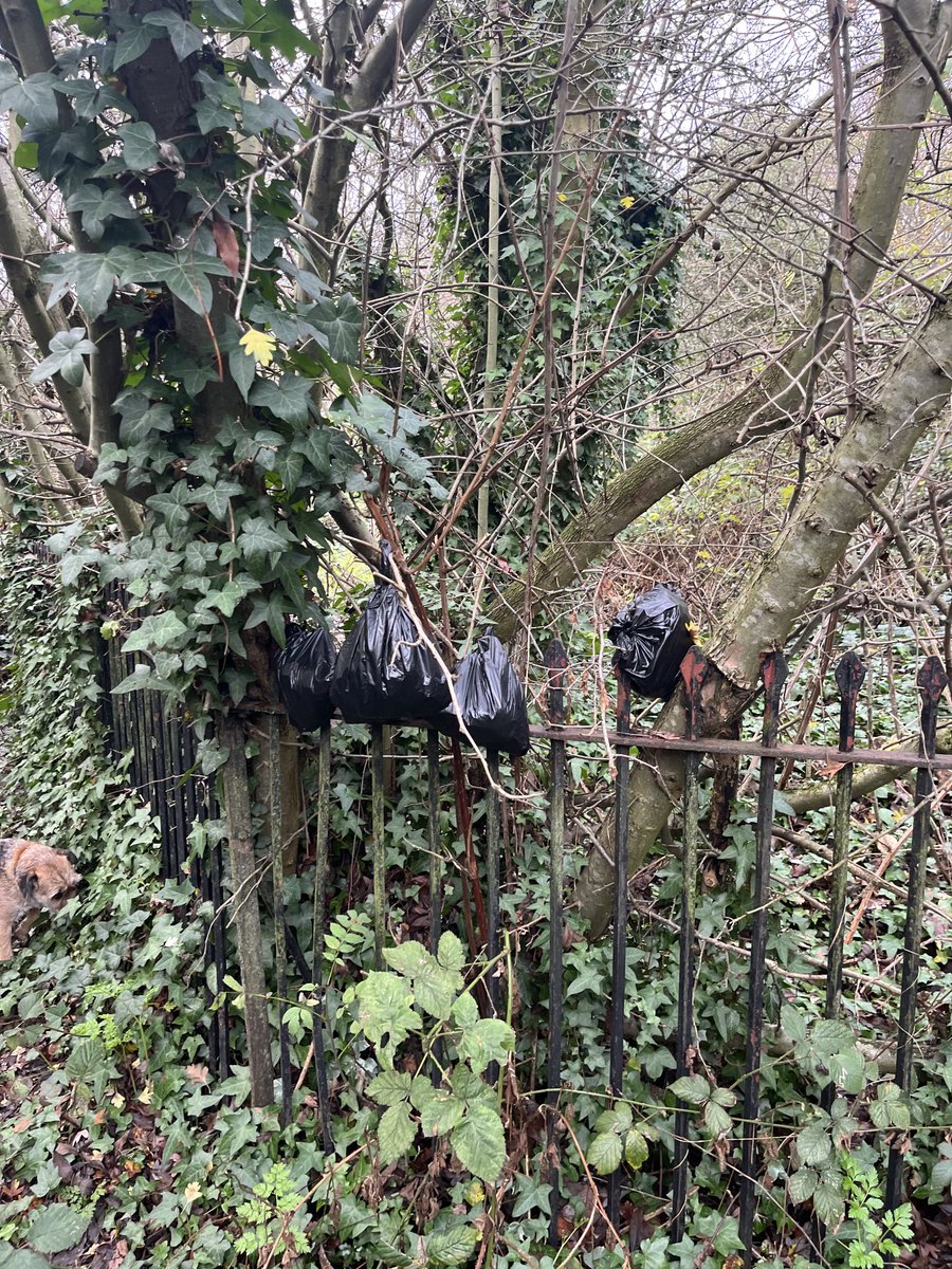 Paddy O'Connell tweet media