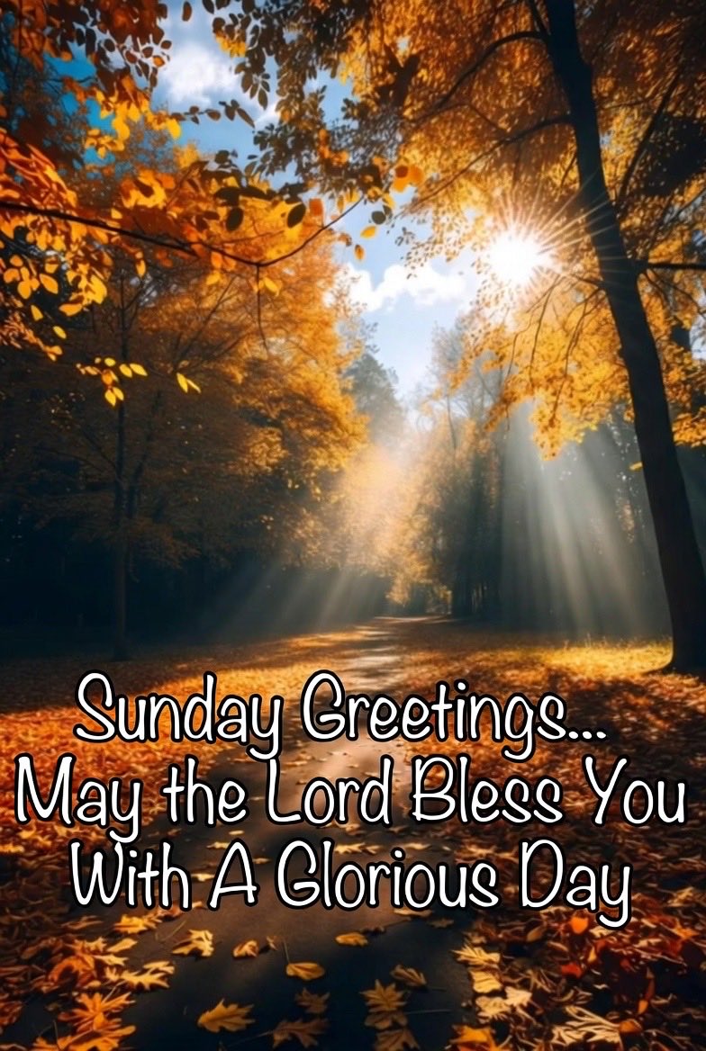 Good Morning Everyone 😘