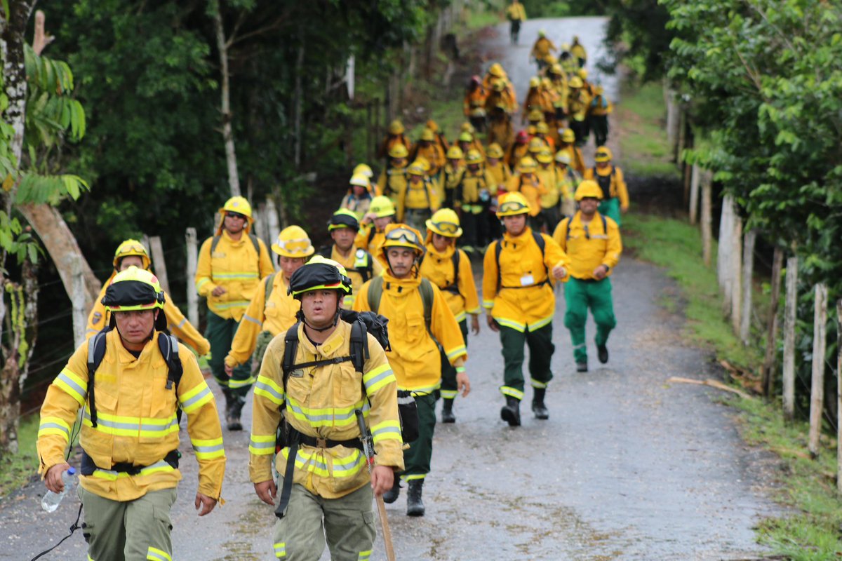 DNBomberosCol's tweet photo. 🚒🔥 #GTBF2025 | Primera Movilización de Grupos Tácticos de Bomberos Forestales
Desde la sede Macagual de la Universidad de la Amazonía, en Florencia (Caquetá), la #DNBC, bajo el liderazgo de la Capitán en Jefe Lina Marín, continúa avanzando en esta importante movilización. https://t.co/PBFb388ZTs