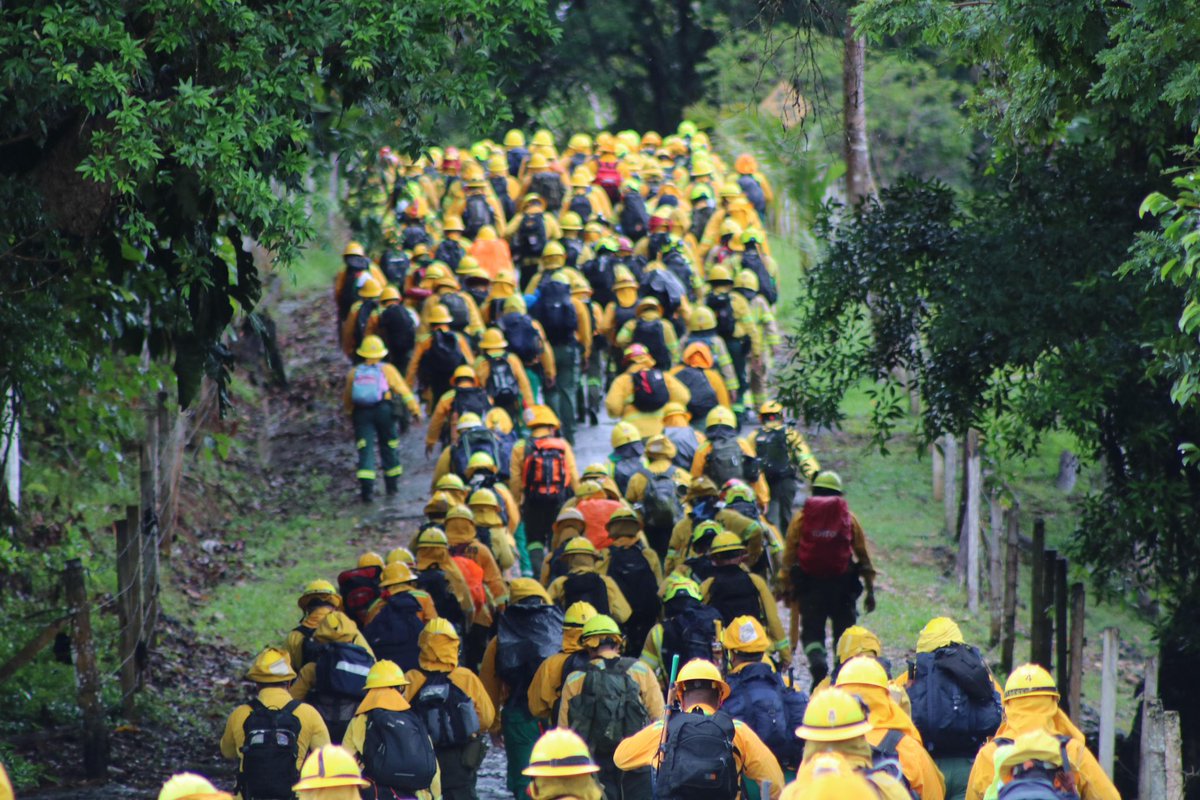 DNBomberosCol's tweet photo. 🚒🔥 #GTBF2025 | Primera Movilización de Grupos Tácticos de Bomberos Forestales
Desde la sede Macagual de la Universidad de la Amazonía, en Florencia (Caquetá), la #DNBC, bajo el liderazgo de la Capitán en Jefe Lina Marín, continúa avanzando en esta importante movilización. https://t.co/PBFb388ZTs