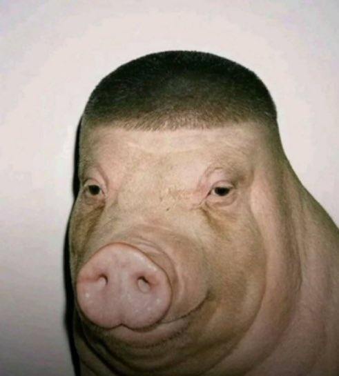 we are going to zero arent we