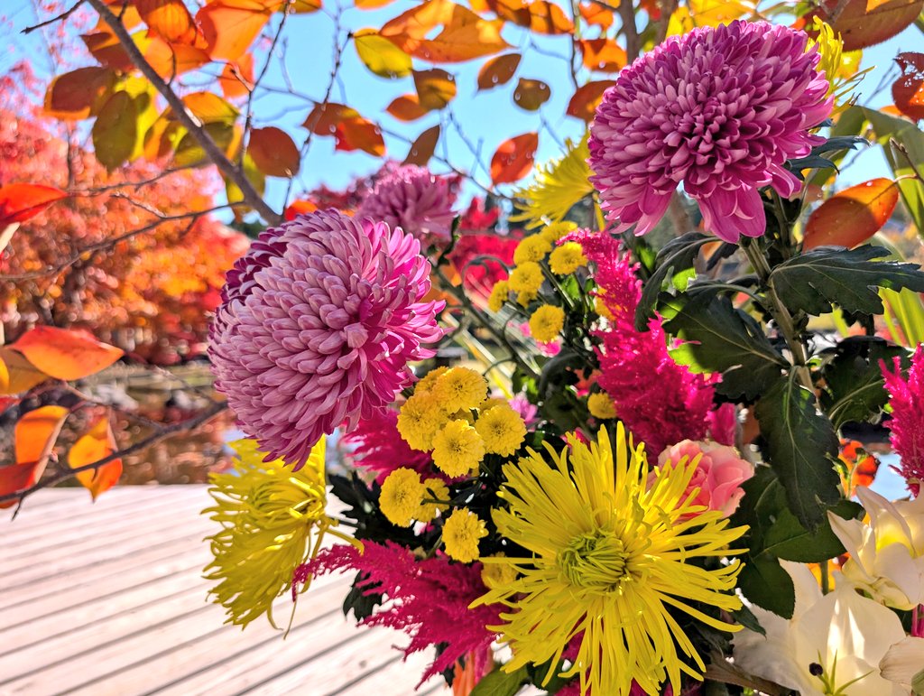 #紅葉 とラスト
 #彼岸花

#けいはんな記念公園