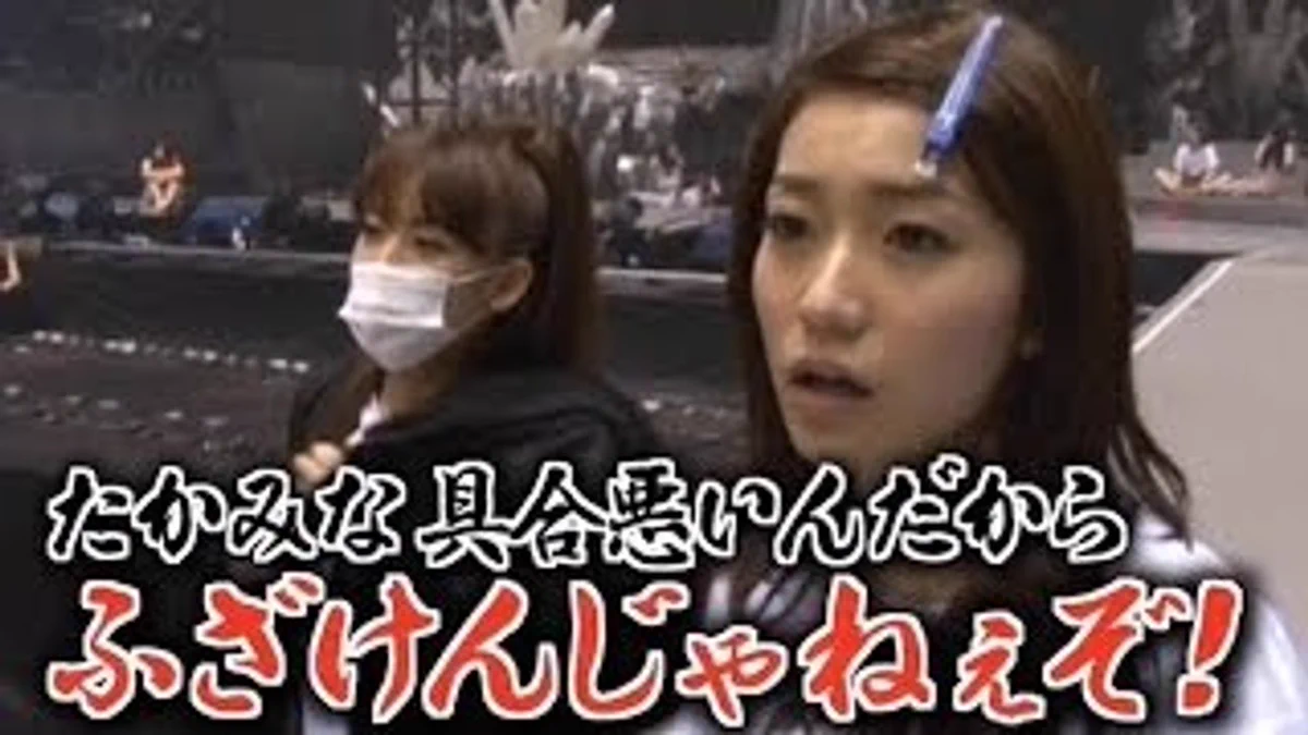 活動歴および当時の関連ビジュアル記録