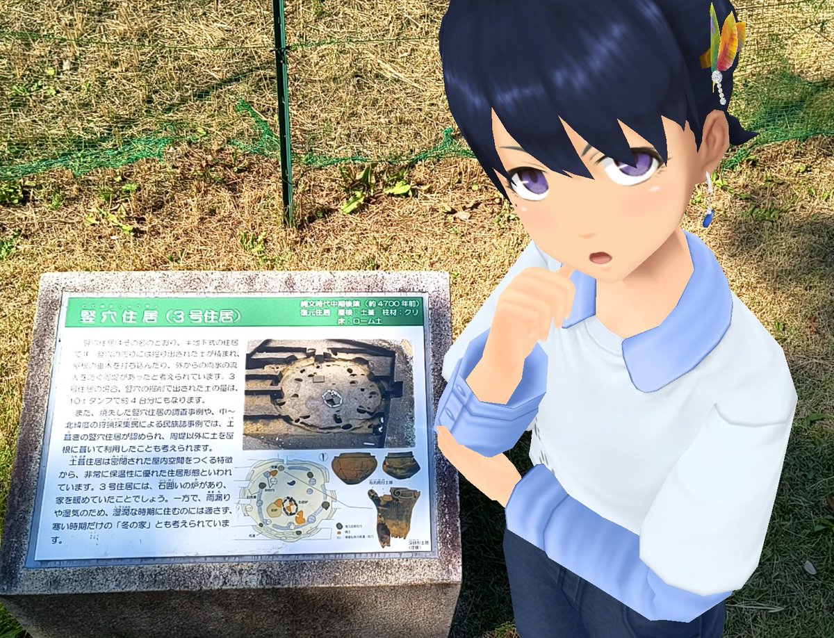 Aj785Aj's tweet image. 【サトカと竪穴式住居】

　土葺き屋根？

｢竪穴を掘った土を利用とは効率的ですよ。隙間風もなくて保温性が高そうですね。

　冬の住居だったみたいだね。そして入口は……おぅふ!?こりゃないわ……

｢……遺跡がただの廃屋に見えてきたですよ。

#スクスト2
#スクストカメラ
#勝坂遺跡公園