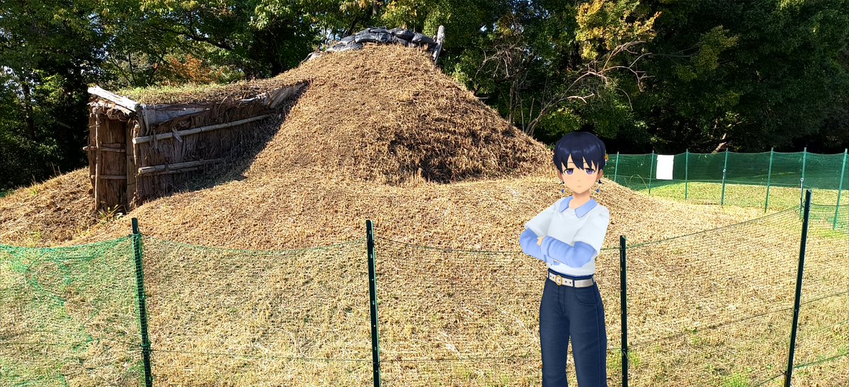 Aj785Aj's tweet image. 【サトカと竪穴式住居】

　土葺き屋根？

｢竪穴を掘った土を利用とは効率的ですよ。隙間風もなくて保温性が高そうですね。

　冬の住居だったみたいだね。そして入口は……おぅふ!?こりゃないわ……

｢……遺跡がただの廃屋に見えてきたですよ。

#スクスト2
#スクストカメラ
#勝坂遺跡公園