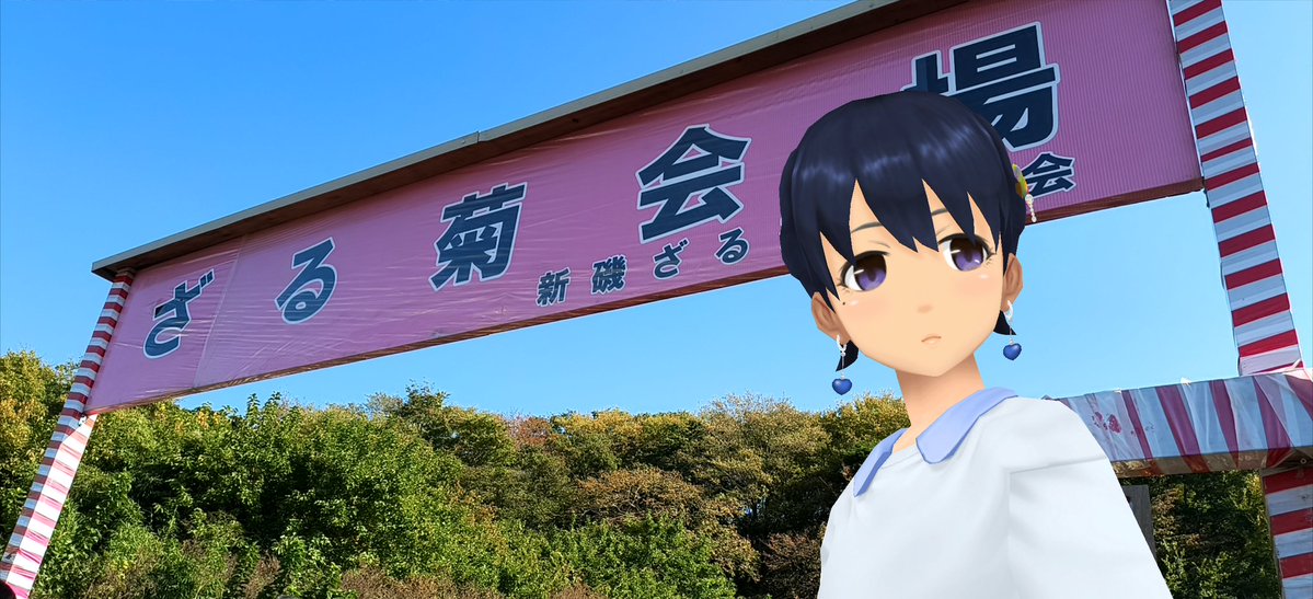 Aj785Aj's tweet image. 【サトカと新磯ざる菊】

　例によって依田さんの天気予報で紹介されてたから来てみた。

｢これは見事ですね。こんな密度で花が咲くものとは…ざる菊 侮れないですね。

　ざるを伏せたような形ってもこんなにきれいになるの!?

｢まぁそこは園芸スキルの賜物なのでは？

#スクスト2
#スクストカメラ