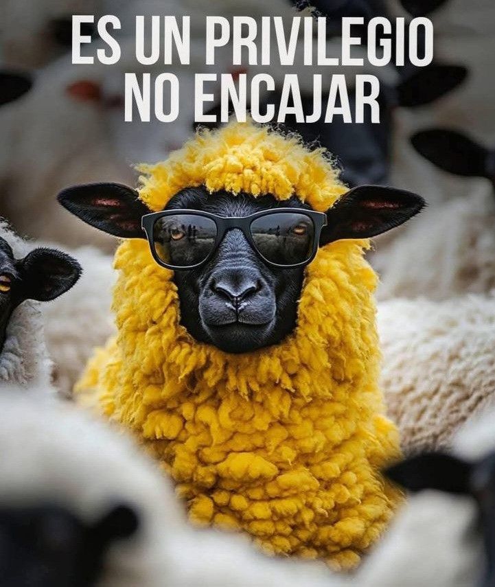 tuitsyalgomas's tweet image. 