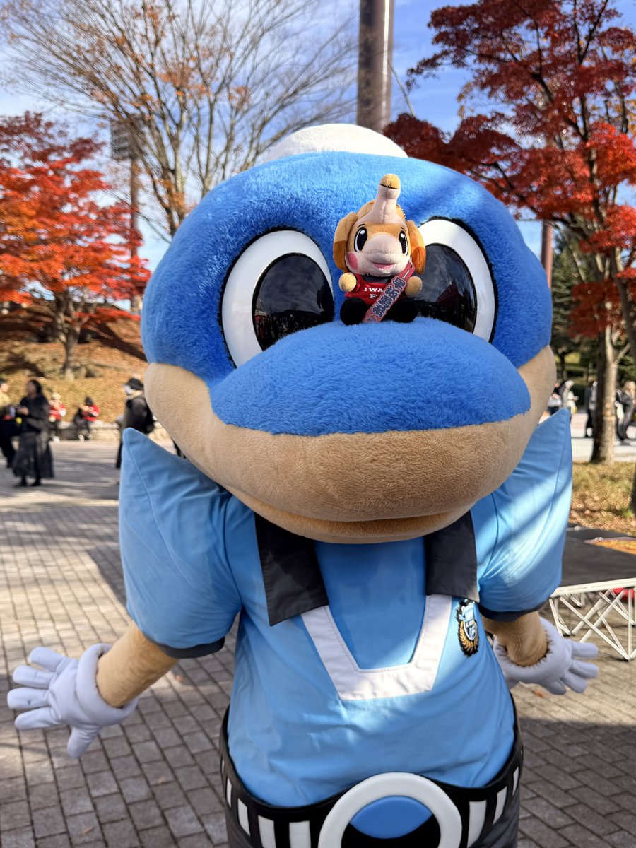 ℂ𝕙𝕚𝕙𝕚𝕣𝕠 (@Chippippippippi) / Posts / X