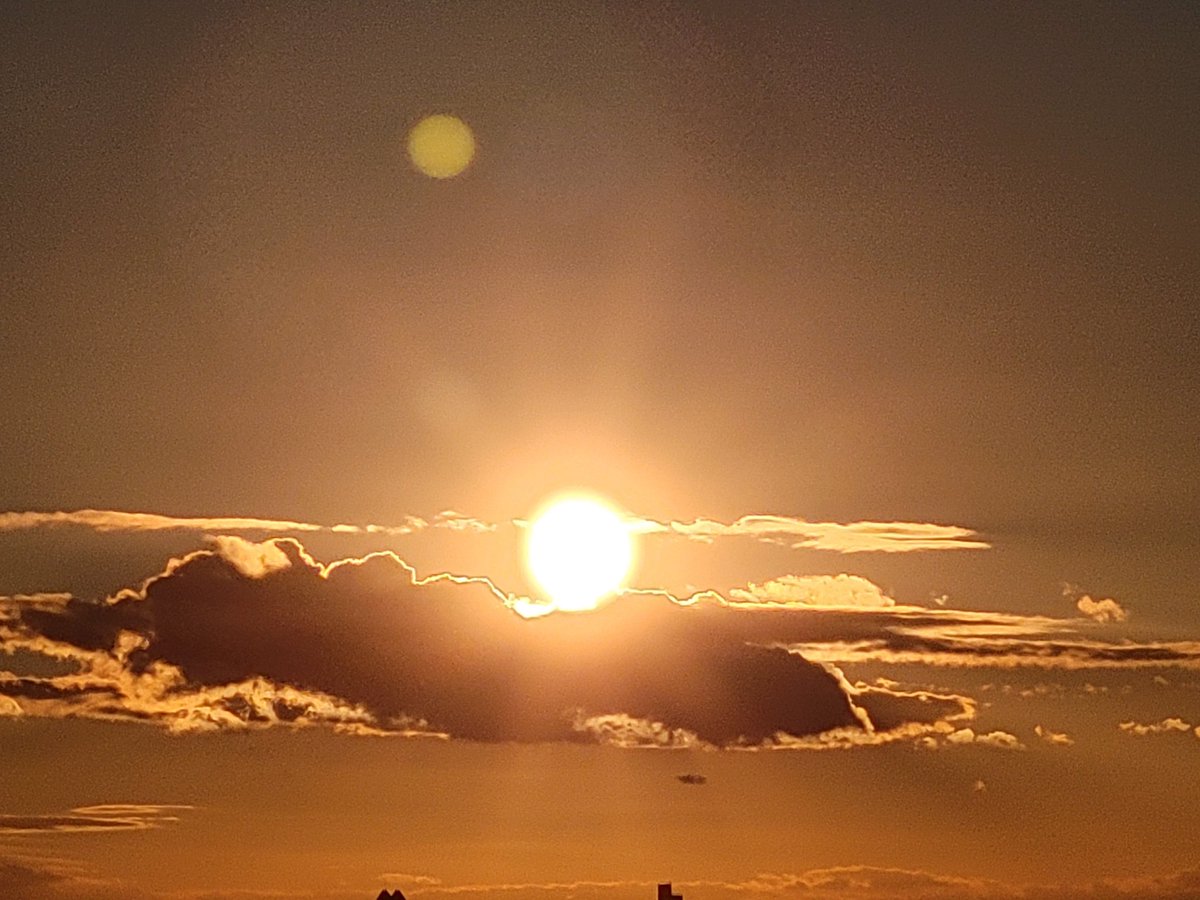 ✿ さわ ✿ (@Sawa_ladybug555) / Posts / X