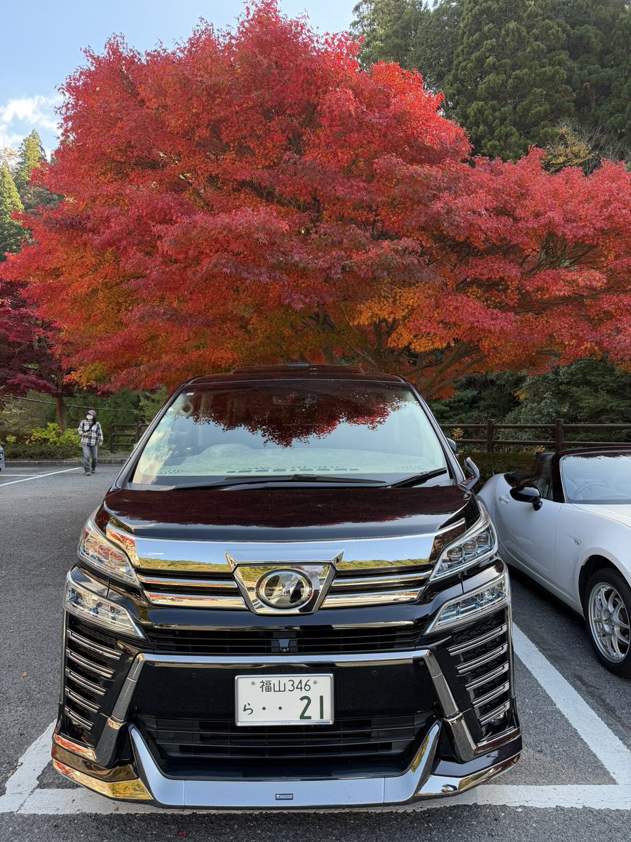 りょう tweet media