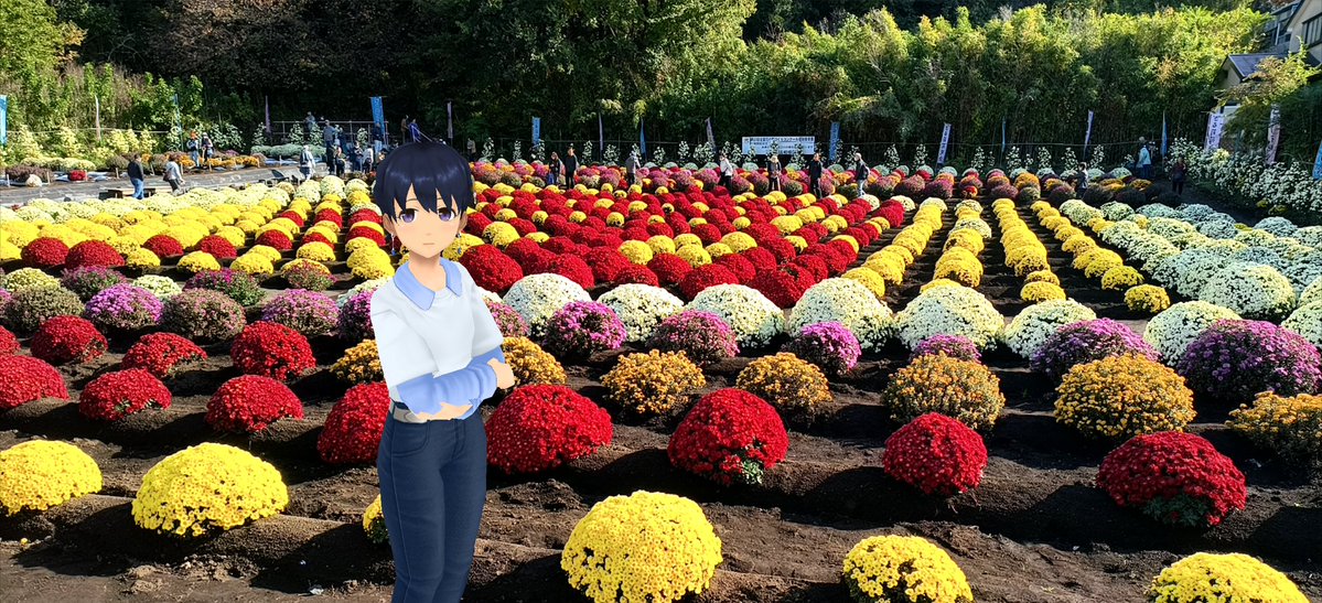 Aj785Aj's tweet image. 【サトカと花文字】

　これこれ！お天気検定のがパネルに張ってある。

｢おっと…花文字になっていたとは。完とな？

　17年続いたこのイベント、会員の高齢化とかで今年が最後なんだって。

｢なんと…それは寂しいですが…その最後の年に見に来れて良かったですね。

#スクスト2
#スクストカメラ