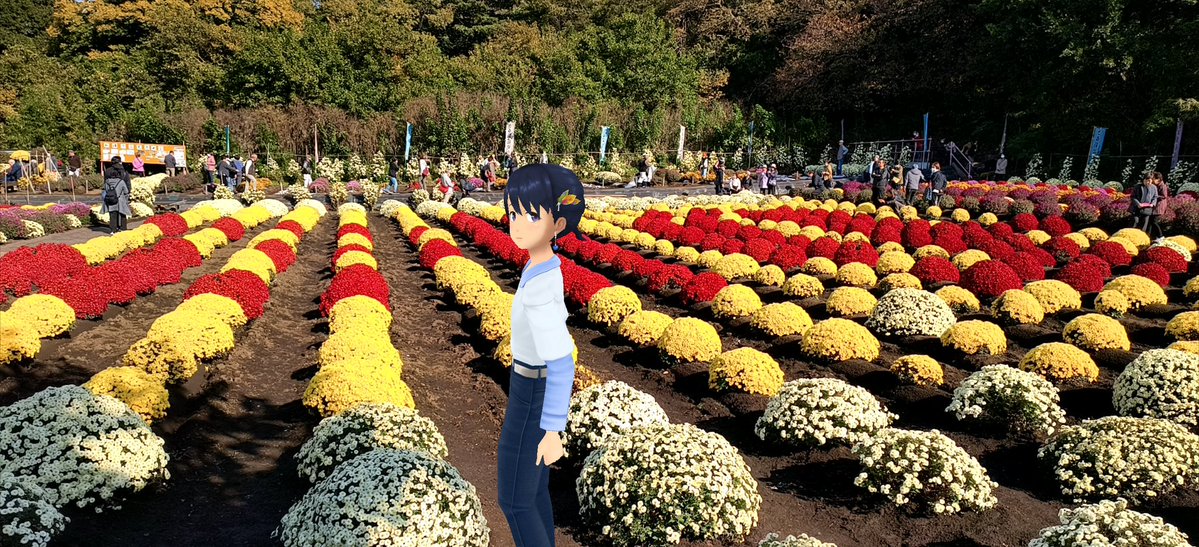 Aj785Aj's tweet image. 【サトカと花文字】

　これこれ！お天気検定のがパネルに張ってある。

｢おっと…花文字になっていたとは。完とな？

　17年続いたこのイベント、会員の高齢化とかで今年が最後なんだって。

｢なんと…それは寂しいですが…その最後の年に見に来れて良かったですね。

#スクスト2
#スクストカメラ