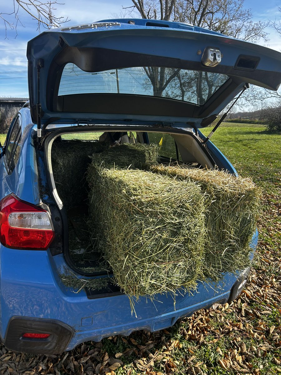 fullcircleeq's tweet image. Sadly we have a setback w/blown head gasket 2our only hay delivery vehicle (founder’s personal car). Wheelbarrow 2feed horses on 60ac farm for now. 

Any help towards winter hay or replacement farm vehicle would mean so much. This is a big loss for us🙏🚙

paypal.com/donate/?hosted…