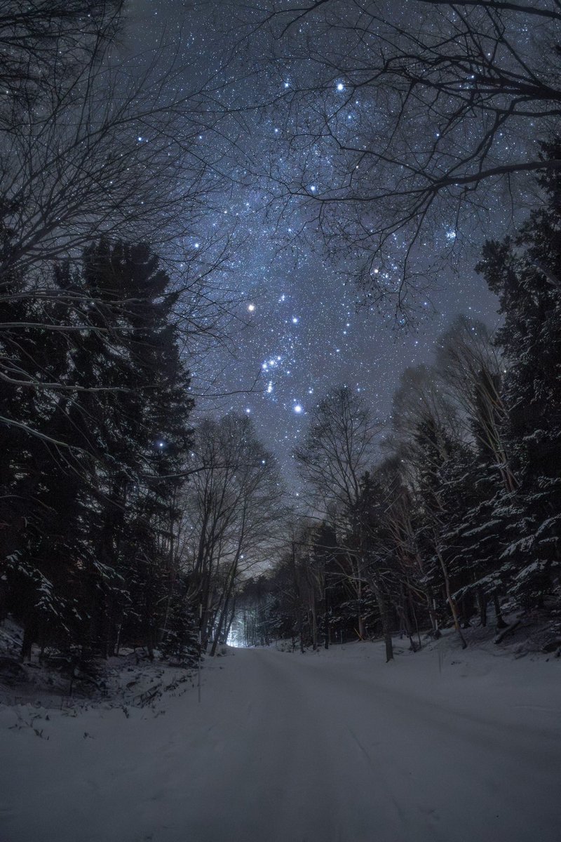 Winter is Coming😍