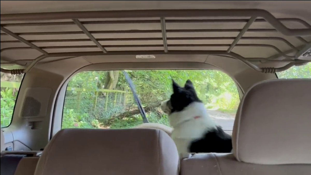 Hughenden Watch tweet media