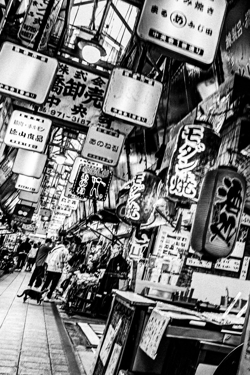 braincellsinapetridish tweet media