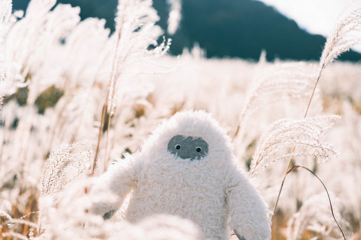 Mokemono BABY KRAKEN せこなお sekonao works About | mokemono