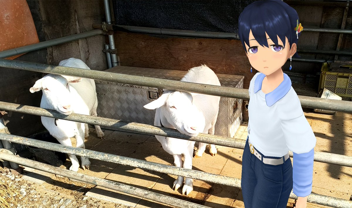 Aj785Aj's tweet image. 【サトカと道草】

｢隊長さん お昼はモナの丘の農家レストランに行ってみたいです。

　(&apos;-^*)ok！体験農場のショップ兼レストランか……野菜とか売ってる。

｢甘柿！おやつ用に買ってくですよ。

　いい卵！これも買ってって卵かけご飯にしよう！

#スクスト2
#スクストカメラ
#モナの丘