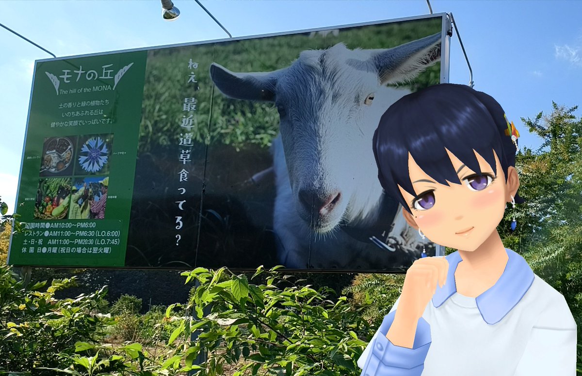 Aj785Aj's tweet image. 【サトカと道草】

｢隊長さん お昼はモナの丘の農家レストランに行ってみたいです。

　(&apos;-^*)ok！体験農場のショップ兼レストランか……野菜とか売ってる。

｢甘柿！おやつ用に買ってくですよ。

　いい卵！これも買ってって卵かけご飯にしよう！

#スクスト2
#スクストカメラ
#モナの丘