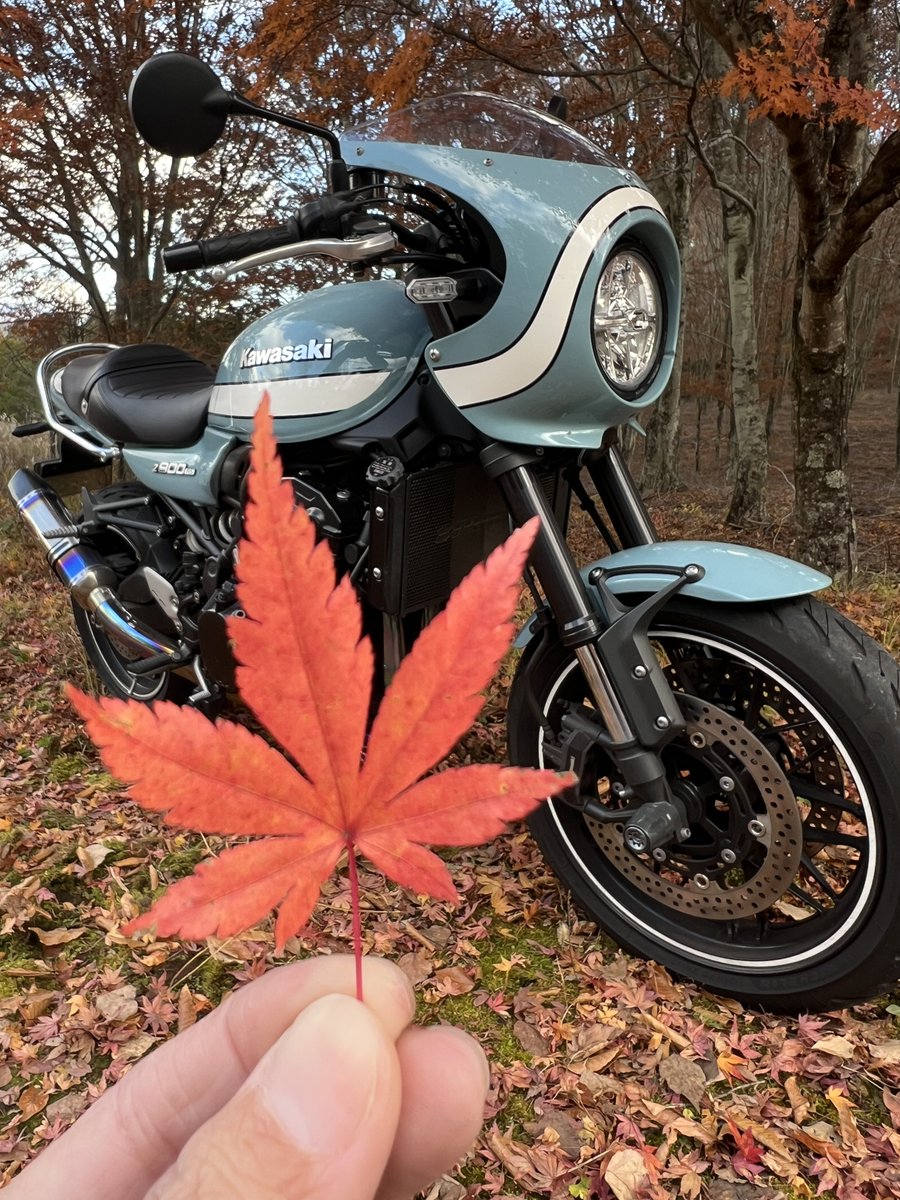 みぃみ🍭 (@mami_bike) / Posts / X