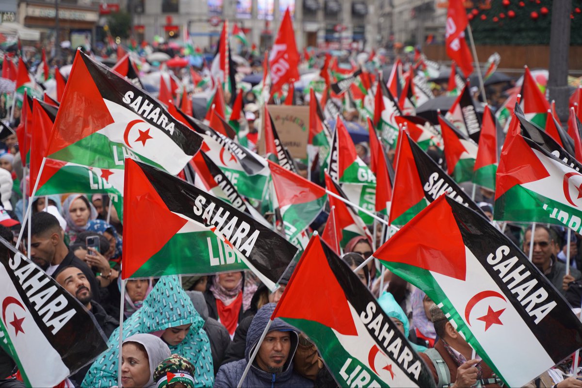 Delegacion Saharaui para Madrid tweet media