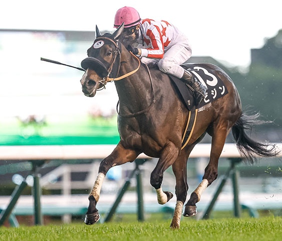 zeke (@zeke_n_n_z) / Posts / X