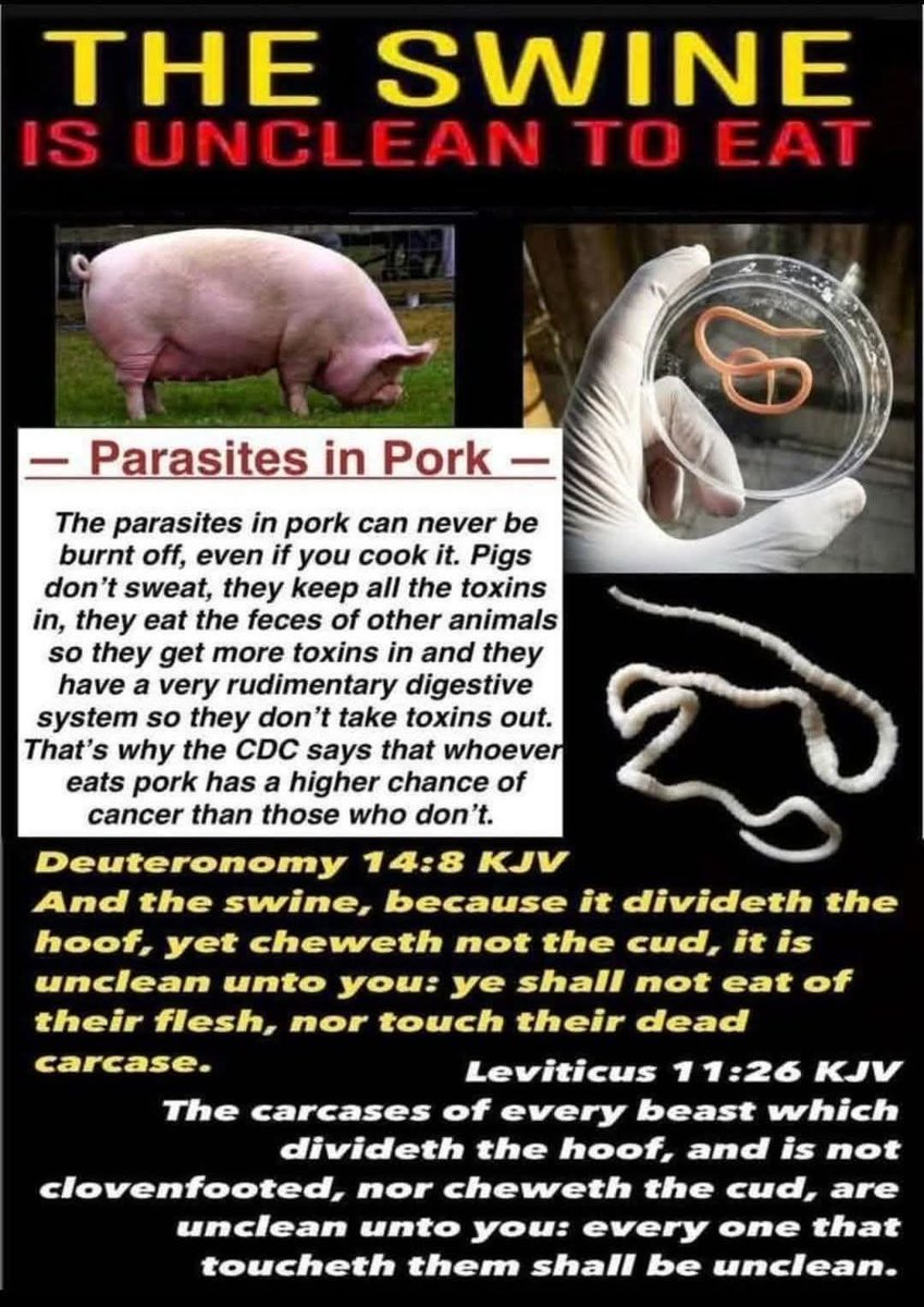 For the LOVE of YAH tweet media