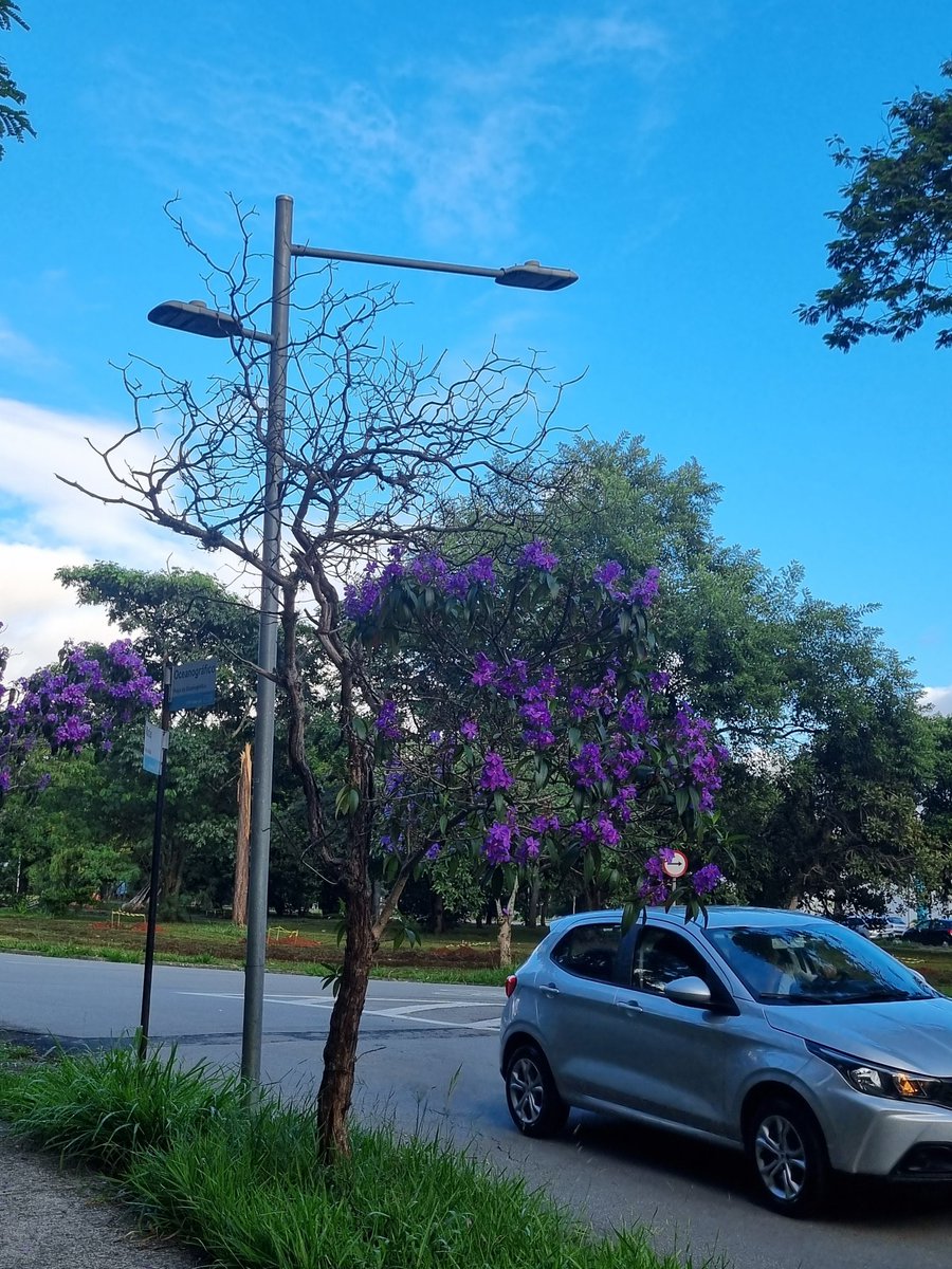 Reiganplat's tweet image. Quero contribuir nessa

Um pouco da USP  pra quem não é da USP