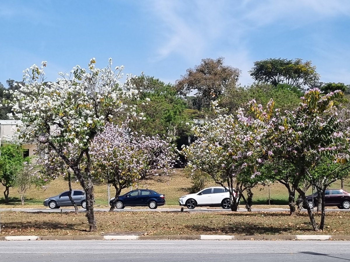 Reiganplat's tweet image. Quero contribuir nessa

Um pouco da USP  pra quem não é da USP