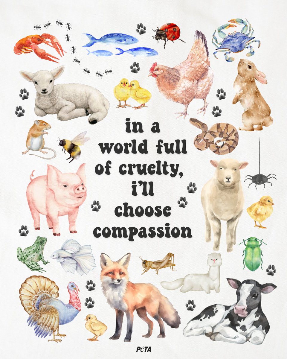 Kindness goes beyond species. Are you with us?