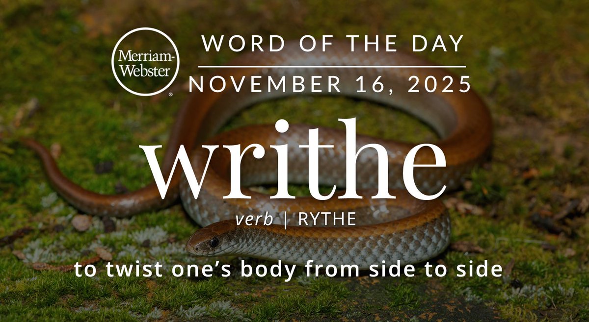 Merriam-Webster tweet media