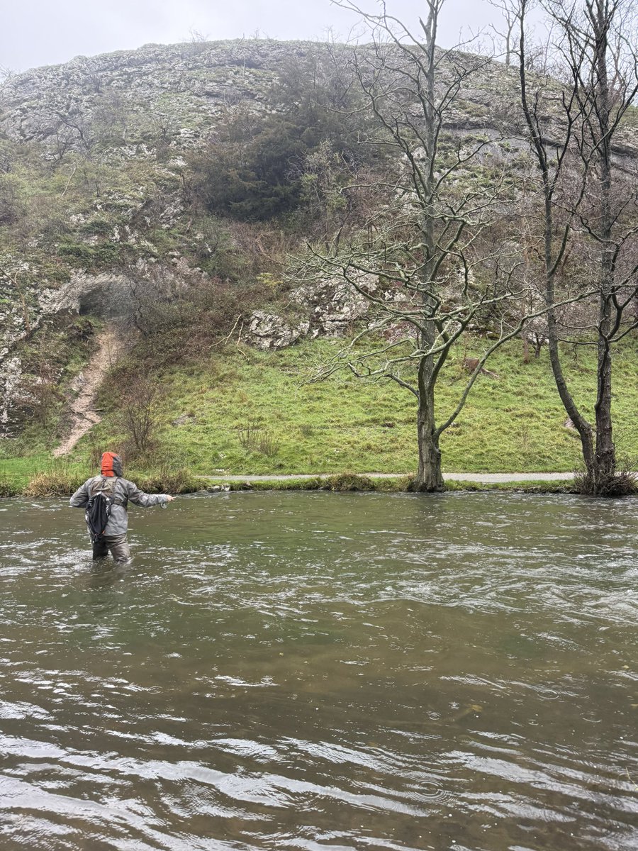 Sedge Flyfishing tweet media