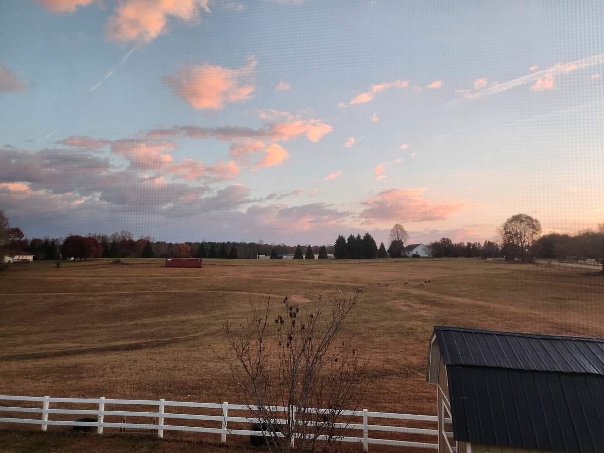Pools checking in  from the Appalachians. Good morning, friends. Covfefe ☕️ 🏔