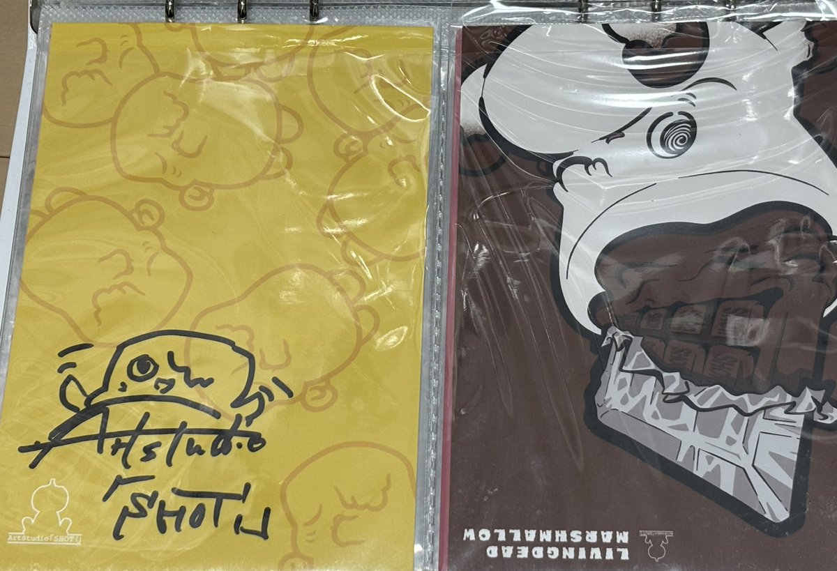 デザフェスからのお迎え品です。サインもいただけて、大満足