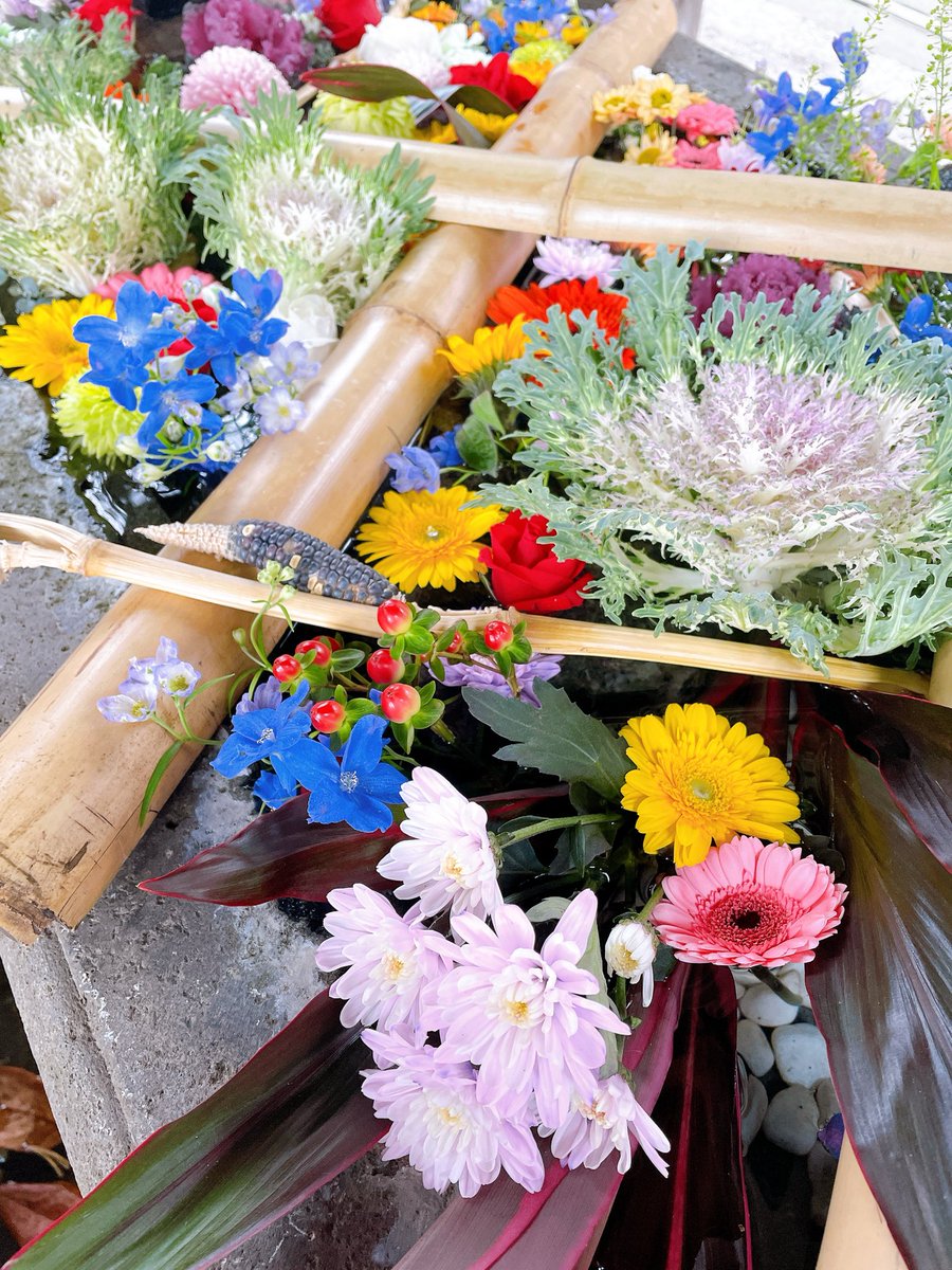 TAKE (花鳥風月 時々Bike) (@monster636ninja) / Posts / X