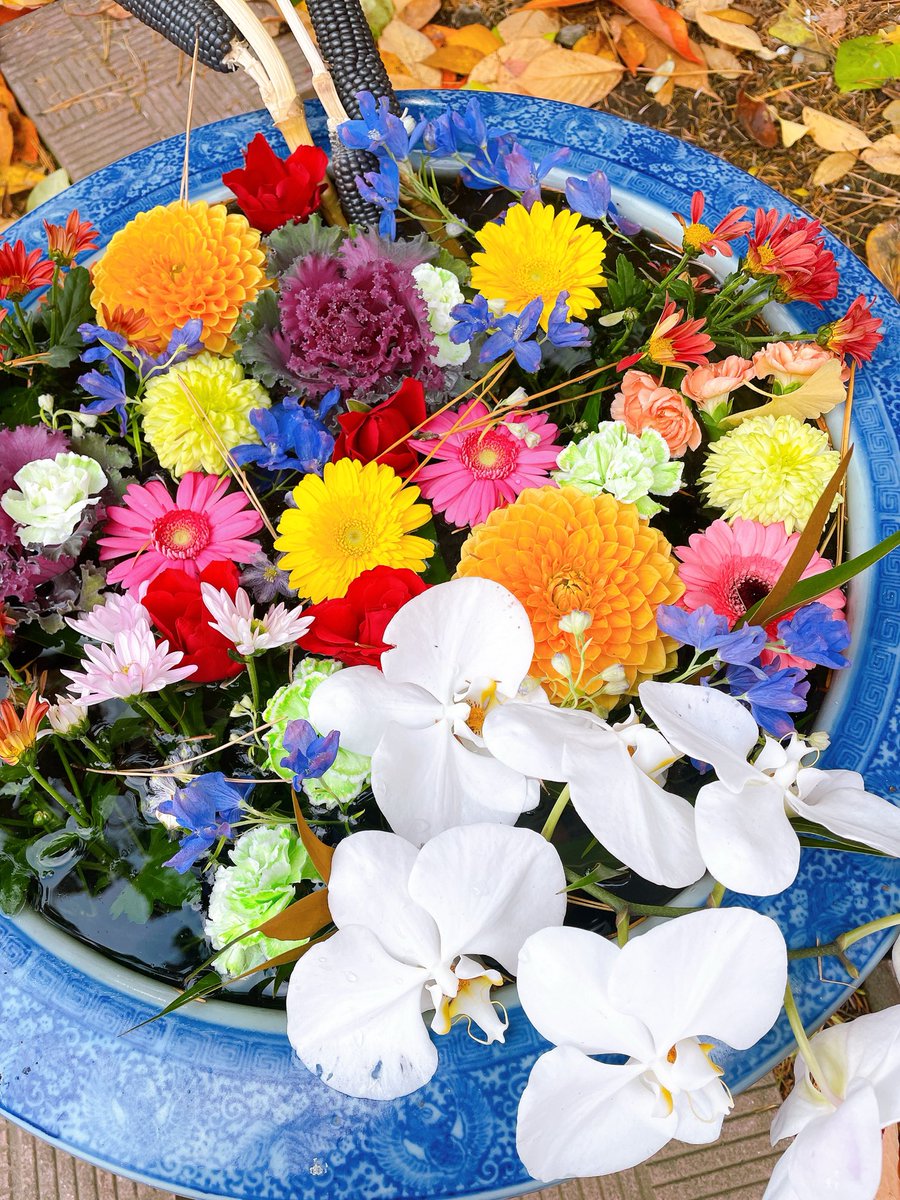 花鳥風月 TAKE (花鳥風月 時々Bike) (@monster636ninja) / Posts / X